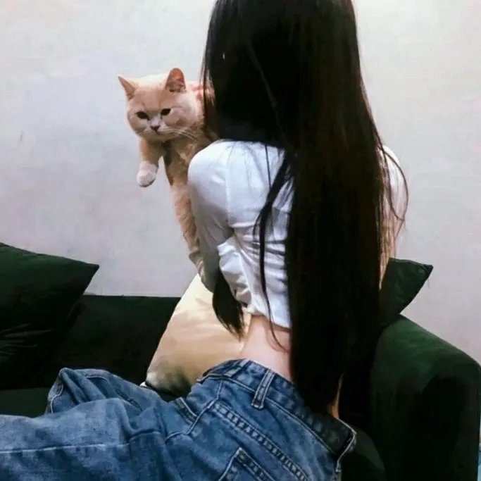 美国的儿子